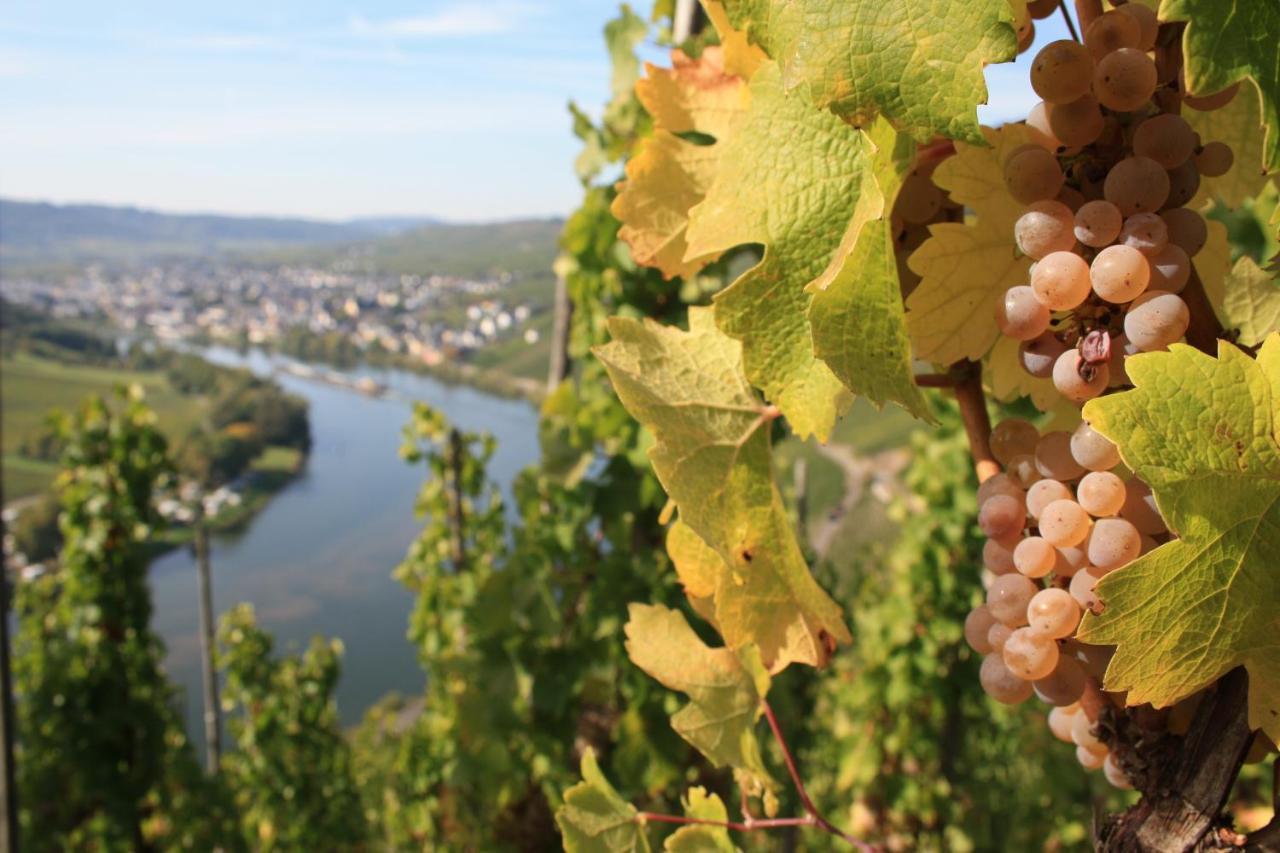 Weingut Markus Junglen Kröv エクステリア 写真