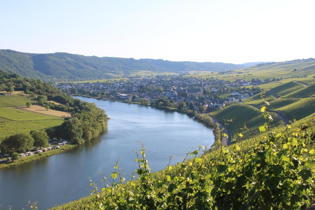 Weingut Markus Junglen Kröv エクステリア 写真